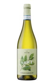 Ilauri `Lume` Trebbiano d`Abruzzo 2023