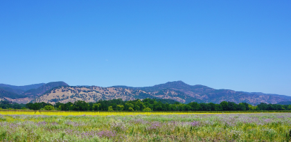Napa Valley