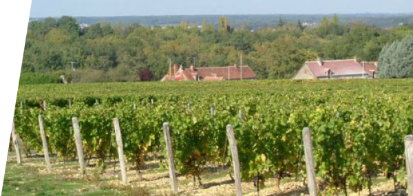 Domaine de la Renaudie